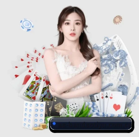 半岛体育 APP 界面